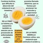 Beneficios Nutricionales del Huevo Hervido: Yema y Clara