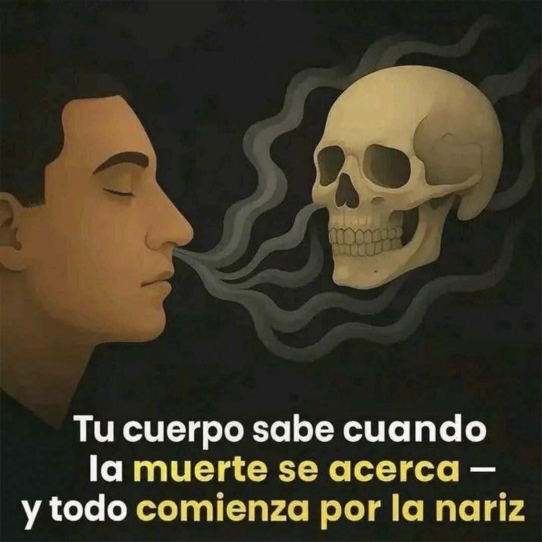 Un ilustración que simboliza la conexión entre el cuerpo y la muerte