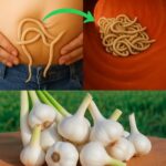 Descubre los 11 Secretos del Ajo que No Conocías