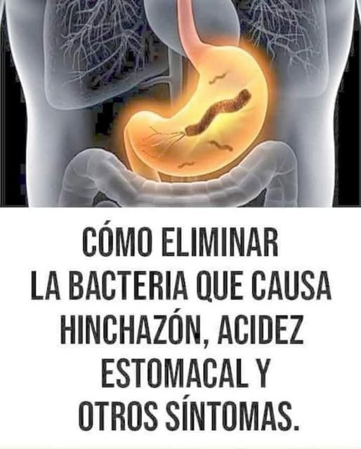 Cómo eliminar Helicobacter pylori