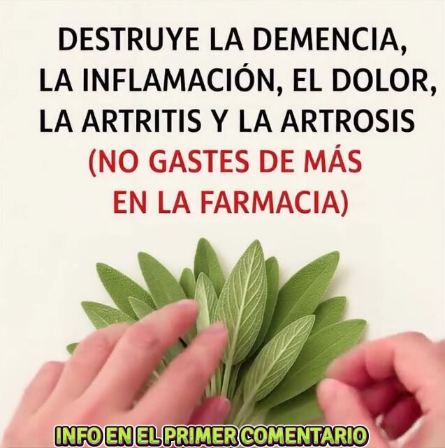 Hojas de Salvia