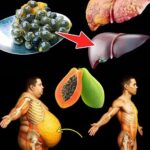 Las Poderosas Semillas de Papaya: Un Tesoro Nutricional para Tu Salud