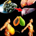 Semillas de Papaya: Poderosas Aliadas para tu Salud y Bienestar