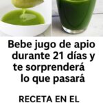 El Poder del Jugo de Apio: Combate la Inflamación y el Ácido Úrico