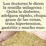 Alpiste: La Semilla Milagrosa que Transforma Tu Salud