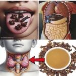 Clavo de Olor: Un Especie Pequeño que Revoluciona la Salud y la Cocina