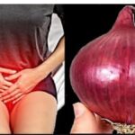 Cuida Tu Próstata y Vejiga: Los Beneficios de la Cebolla