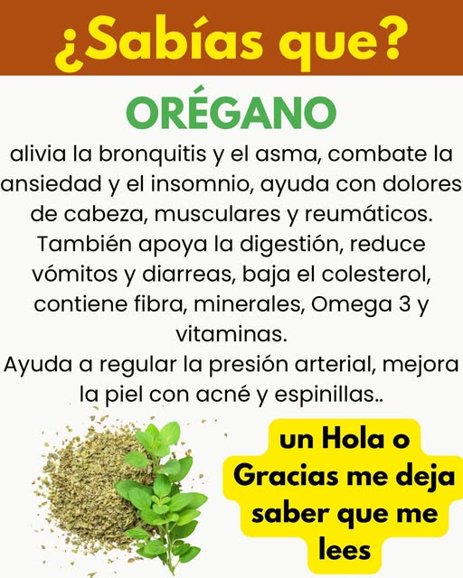Orégano fresco y seco