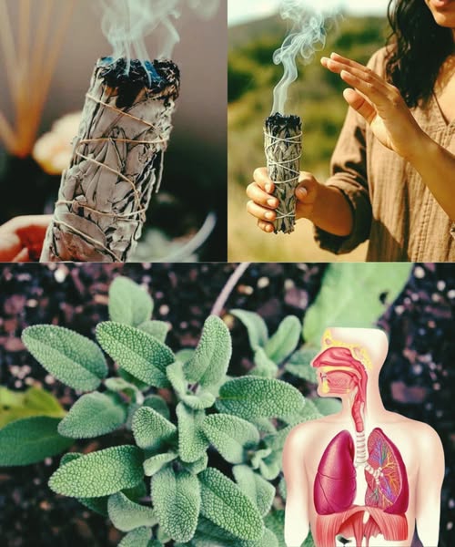 Quema de salvia