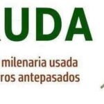 Los Beneficios de la Ruda y su Receta Medicinal Tradicional