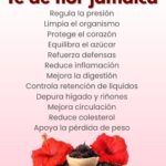 Descubre todos los increíbles beneficios del Té de Flor de Jamaica