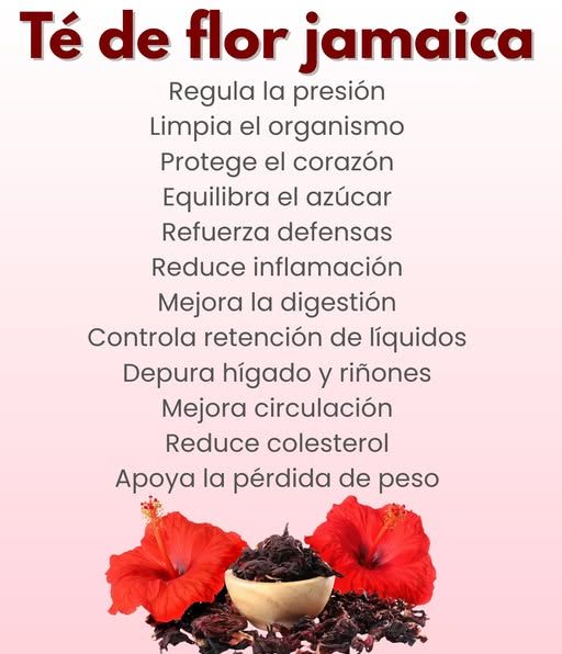 Flores de Jamaica y pétalos secos