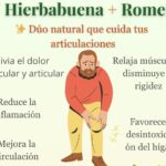 Los Mejores Aliados de Tus Articulaciones: Hierbabuena y Romero