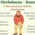 Los Mejores Aliados Naturales para el Alivio de tus Articulaciones: Hierbabuena y Romero