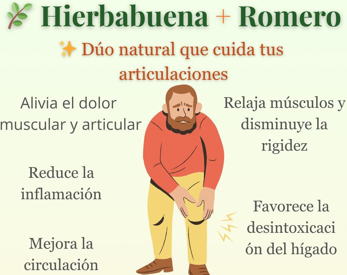 Propiedades de la hierbabuena y el romero para las articulaciones