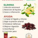 Té de Jamaica con Limón: Salud en Cada Taza