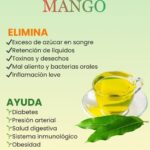 Los Poderosos Beneficios de las Hojas de Mango: Remedios Naturales y Recetas Saludables