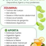 Descubriendo los Beneficios de la Cáscara de Limón: Tu Nuevo Aliado para la Salud
