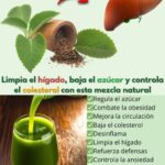 Remedio Natural para el Hígado Graso y la Obesidad: Chayote, Guayaba y Orégano