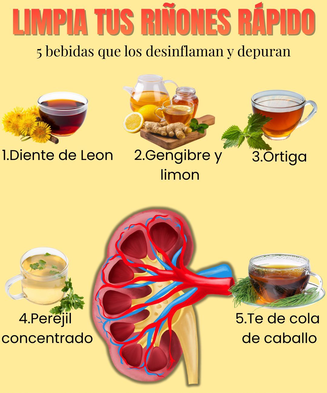 Bebidas para limpiar los riñones