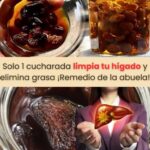 Remedios Naturales: Infusión de Higos y Ciruelas Pasas para Limpiar el Hígado