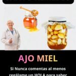 Transforma tu Salud con Ajo y Miel: Un Santo Remedio Natural