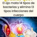 El Ajo: Maravilla Natural para Tu Salud
