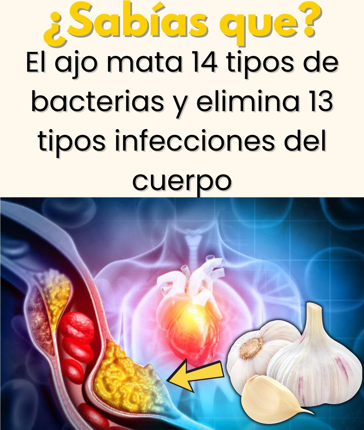 Beneficios del Ajo para la Salud Cardiovascular