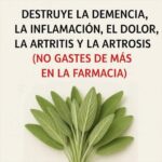 Salvia: La Planta que Combate la Demencia y Alivia Dolores