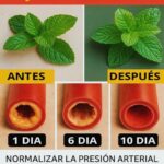 Di Adiós a las Arterias Obstruidas: Alimentos Naturales Que Superan a la Aspirina