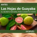 Descubre los Beneficios de la Guayaba para la Salud Ocular: Remedios Naturales para Mejorar tu Visión