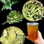 Remedios Naturales para la Diabetes, Cáncer, Hígado Graso y Más
