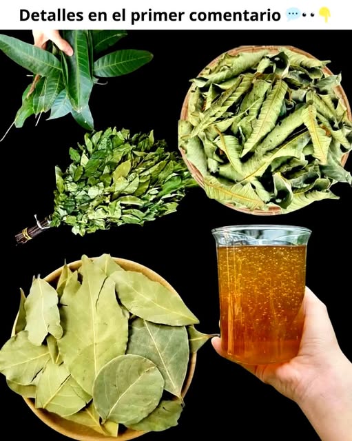Remedios Naturales para la Salud