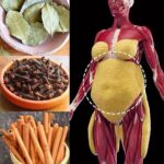 Secretos de la Canela y los Clavos de Olor: Beneficios Inesperados para la Salud