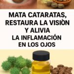 Remedios Naturales para la Salud Ocular: Hidratación y Protección de tus Ojos