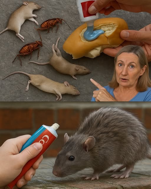 Método Casero contra Plagas