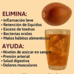 Semilla de Aguacate: El Tesoro Oculto que Limpia tu Cuerpo y Protege tu Corazón