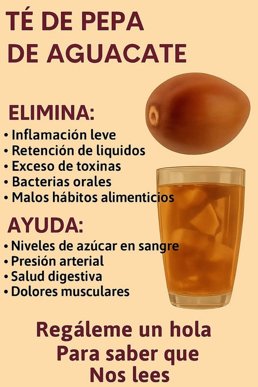 Semilla de aguacate y té de aguacate
