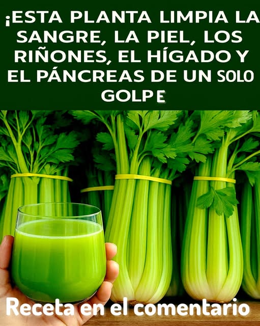 Jugo de Apio en un vaso