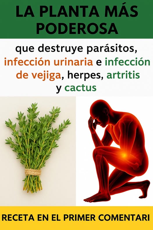 Planta curativa