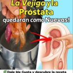 Limpia tu Vejiga y Fortalece la Próstata en Casa con Recetas Naturales