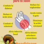 Hoja de Laurel: Remedio Ancestral Para Rodillas, Circulación y Bienestar