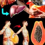 Los Sorprendentes Beneficios de las Semillas de Papaya para la Salud