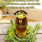 Romero: La Morfina Natural para Dolores Musculares y Articulares