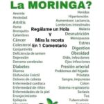 Receta Tradicional de Moringa: Propiedades y Beneficios para la Salud