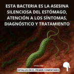 Helicobacter Pylori: La Asesina Silenciosa del Estómago