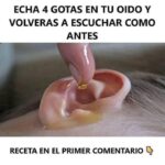 Receta Natural para Mejorar la Audición: ¡Descubre el Secreto!