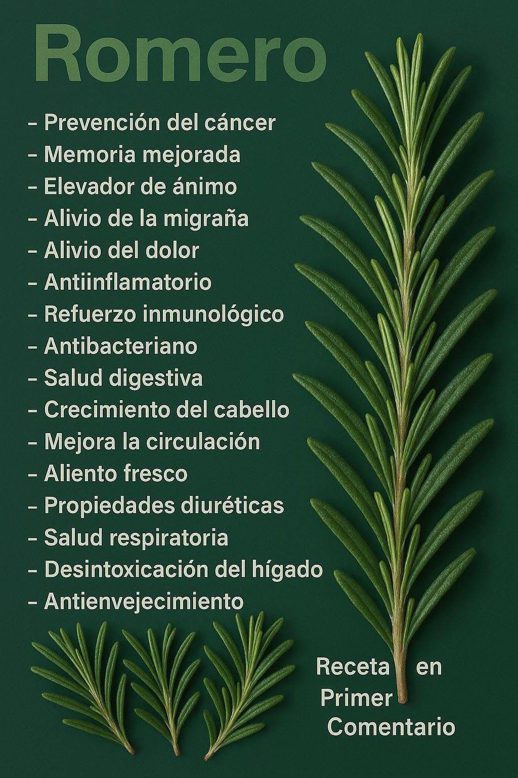 Hojas de Romero