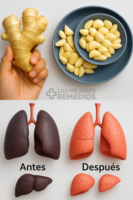 Remedios naturales para los pulmones: jengibre y ajo