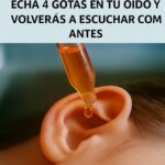 Recuperación Auditiva Natural: Mitos y Realidades sobre las Gotas Caseras